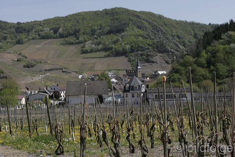_mg_3688.jpg