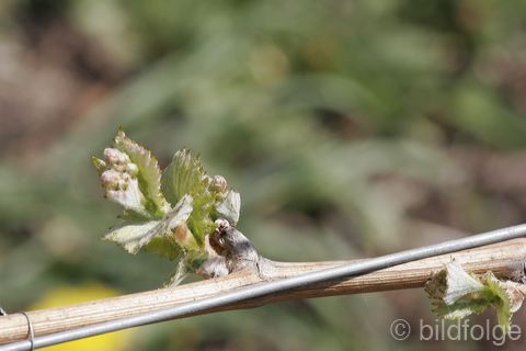 _mg_3698.jpg