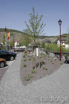_mg_3732.jpg