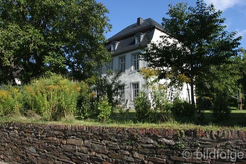 mayschoss_050.jpg