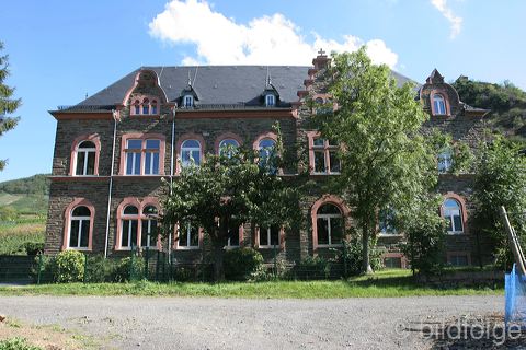 mayschoss_059.jpg