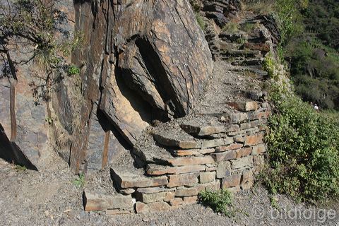 mayschoss_082.jpg