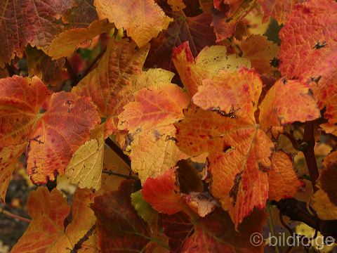 pict5830.jpg