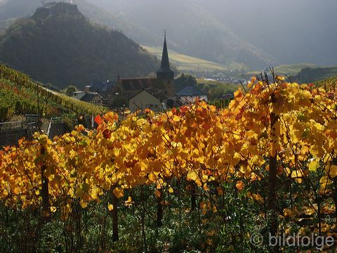 pict5839.jpg