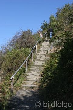 rech_306.jpg