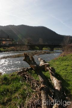 21_rech.jpg