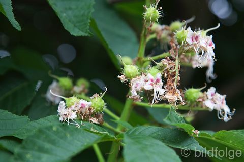 _mg_2159.jpg