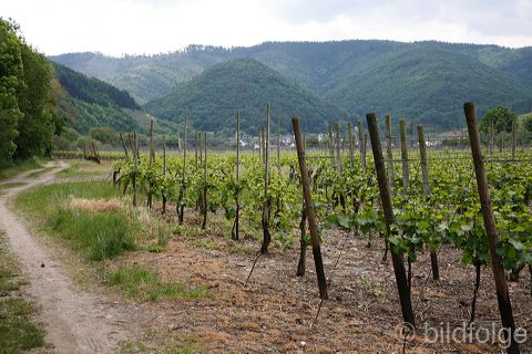 _mg_2169.jpg