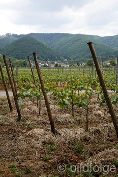 _mg_2175.jpg