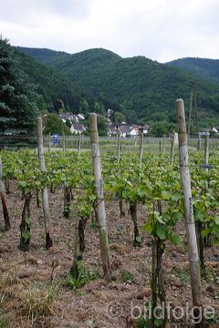 _mg_2186.jpg