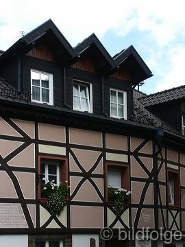 rech_094.jpg