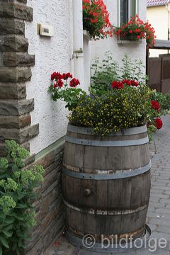 rech_217.jpg