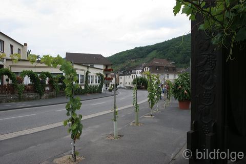 rech_248.jpg