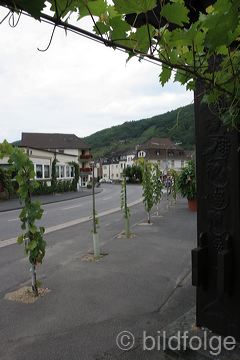 rech_250.jpg
