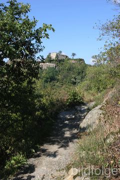 rech_305.jpg