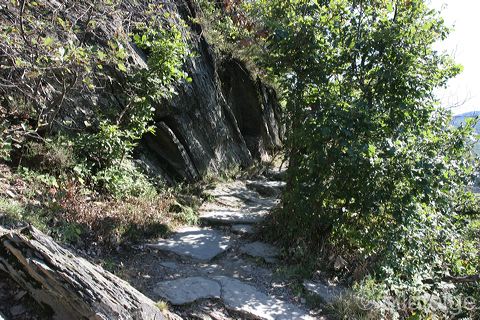 rech_311.jpg