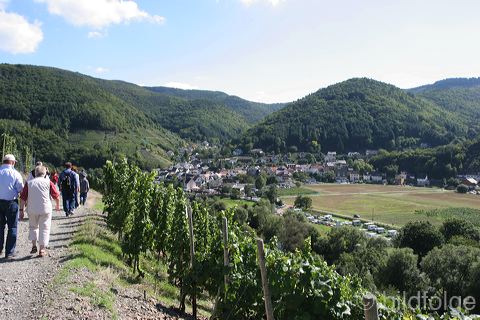 rech_314.jpg