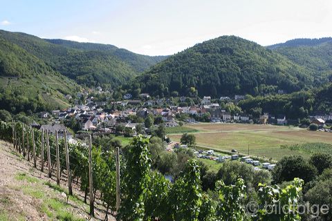 rech_315.jpg