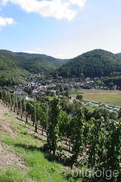 rech_316.jpg