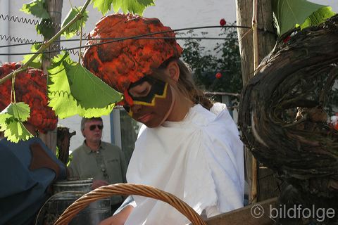 rech_338.jpg