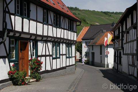 rech_403.jpg