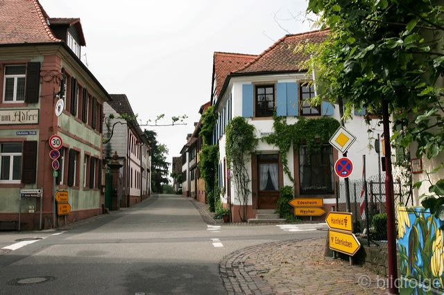 _mg_4120.jpg