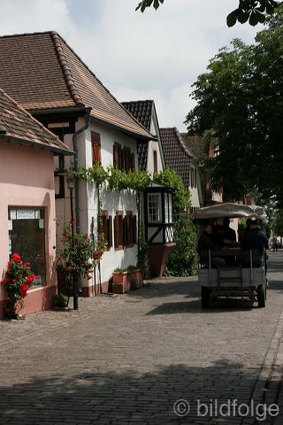_mg_4167.jpg