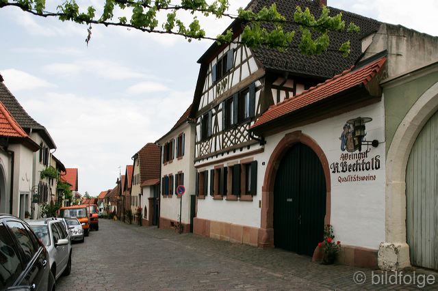 _mg_4276.jpg