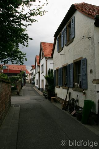 _mg_4280.jpg