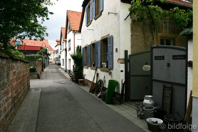 _mg_4281.jpg