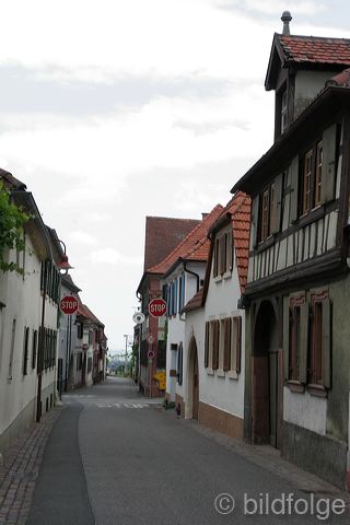 _mg_4285.jpg