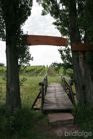 _mg_4313.jpg