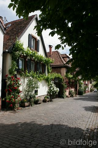 _mg_4328.jpg