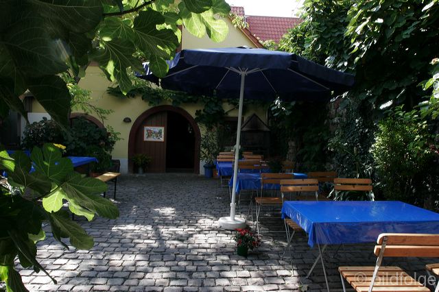 _mg_7206.jpg