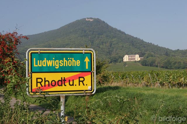 rhodt0085.jpg