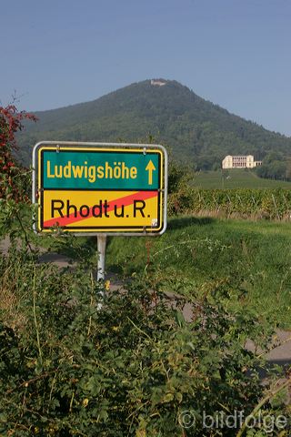 rhodt0086.jpg