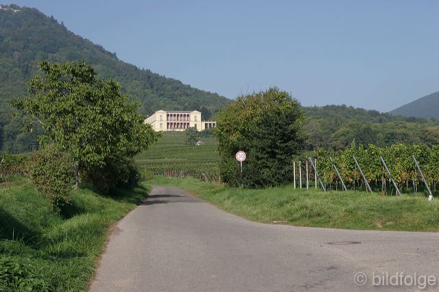 rhodt0091.jpg