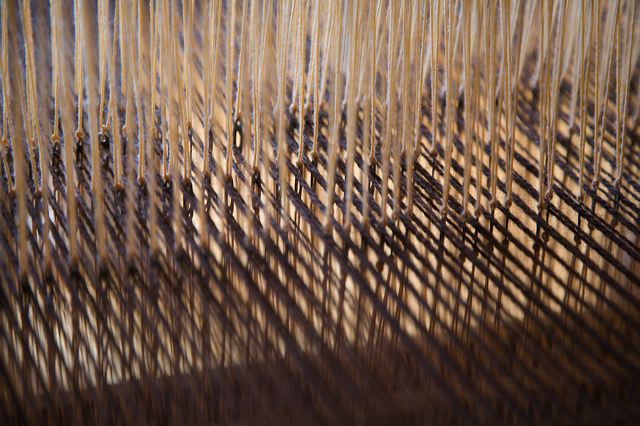 _mg_7140.jpg