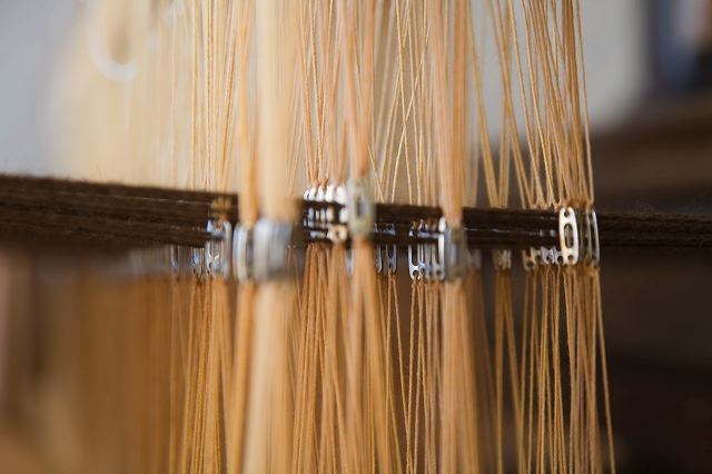_mg_7168.jpg
