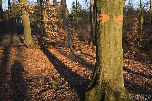 13baum.jpg