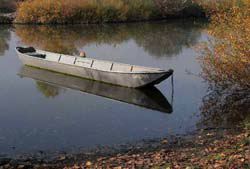 006trauer.jpg